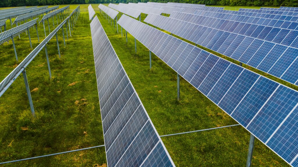 Blue solar panels installed on green lush field in contemporary eco friendly solar park